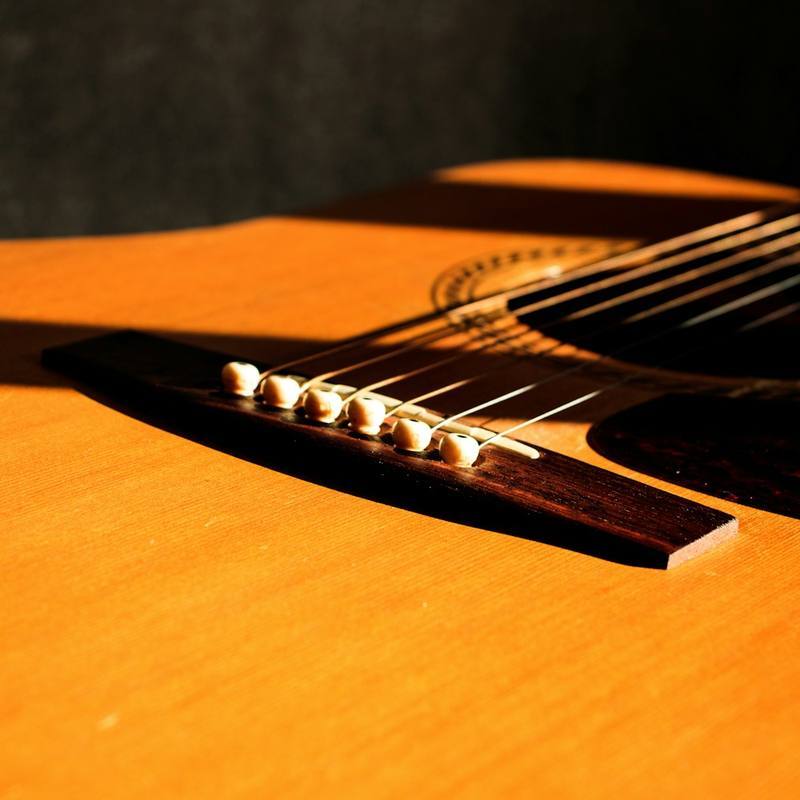 Acoustic Guitars