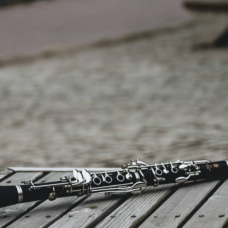 Sonic Vault Student Clarinet Bb - Grenadilla Style