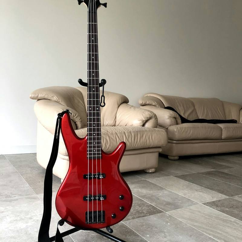 Bass Guitars